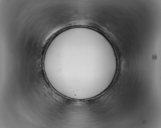 X0000115241166200911201614