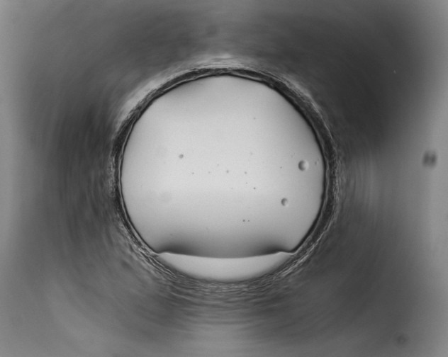 X0000115241167200911201614