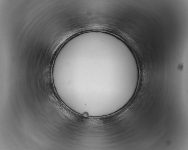 X0000115241170200911201613