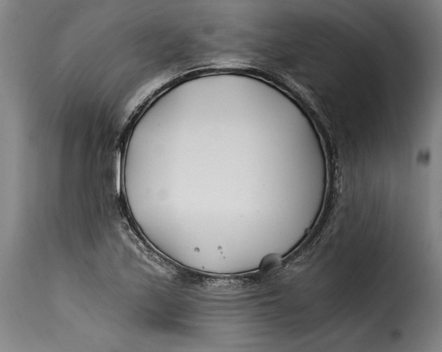 X0000115241171200911201613