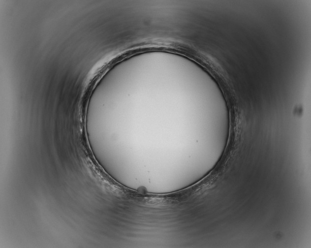 X0000115241172200911201613