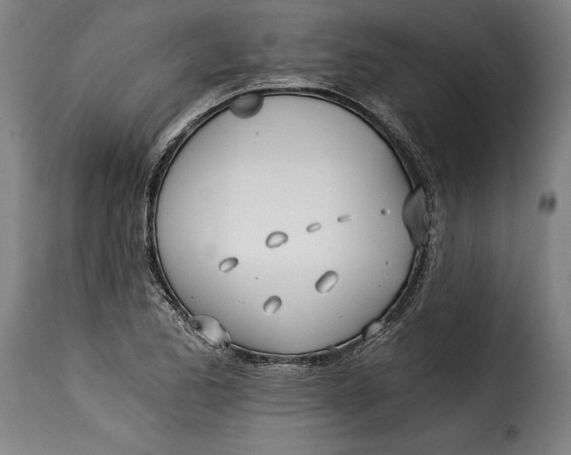 X0000115241173200911201613