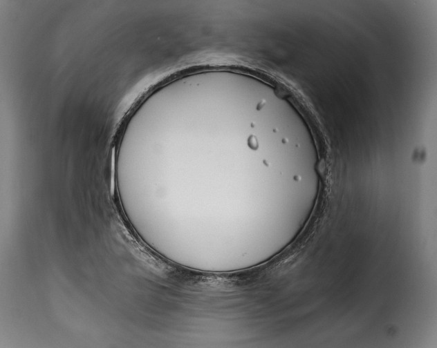 X0000115241175200911201613