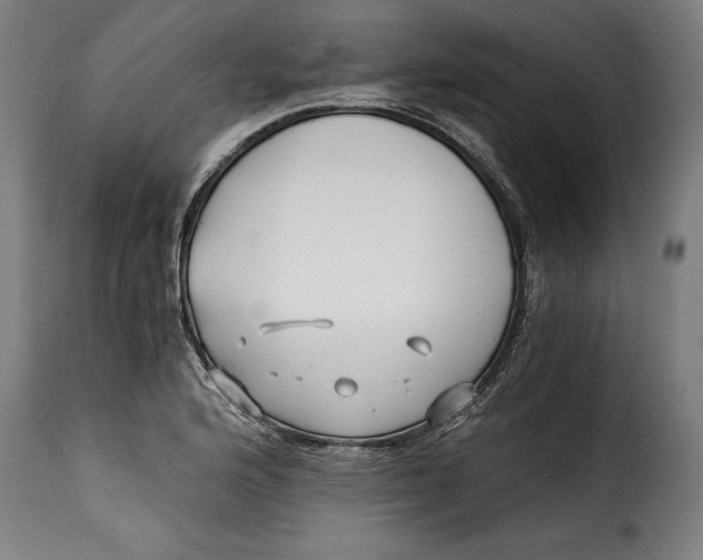 X0000115241176200911201613