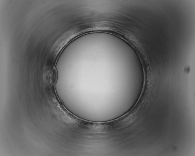 X0000115241177200911201613