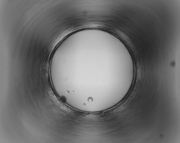 X0000115241178200911201613