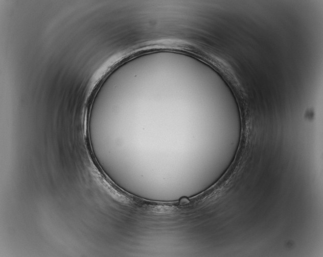 X0000115241180200911201613