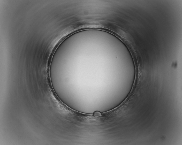 X0000115241181200911201613