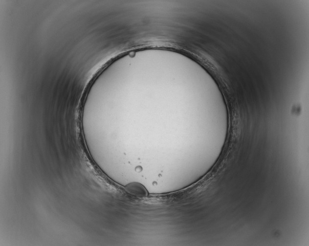 X0000115241182200911201613