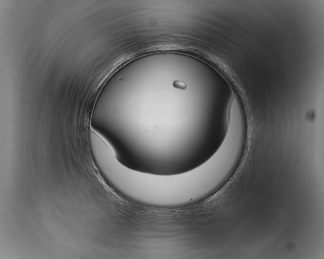 X0000115241185200911201613
