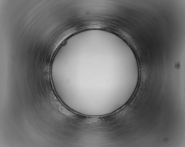 X0000115241186200911201613