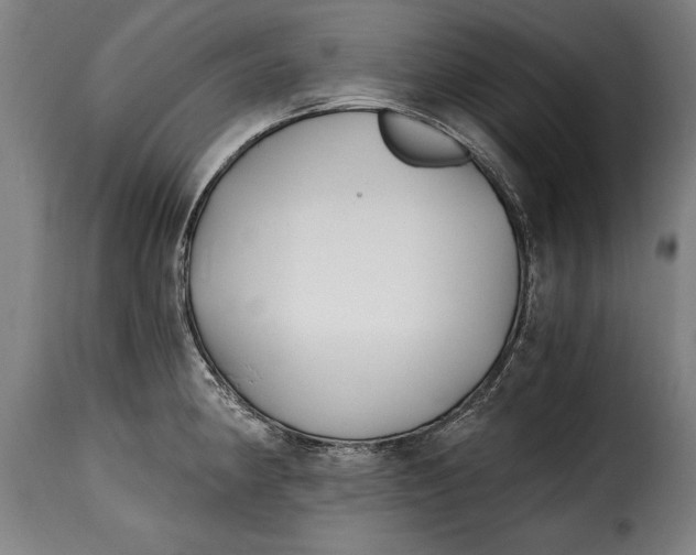 X0000115241190200911201613