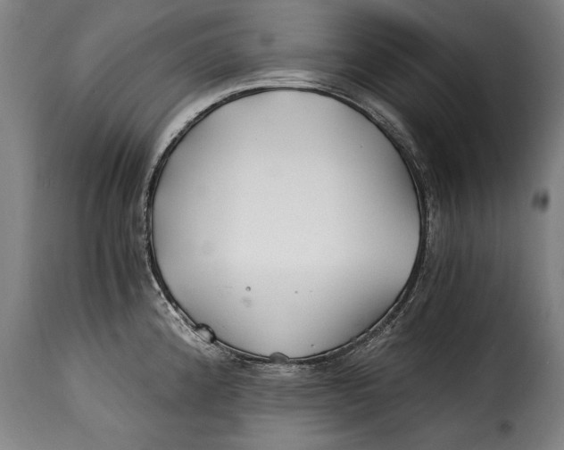 X0000115241192200911201613