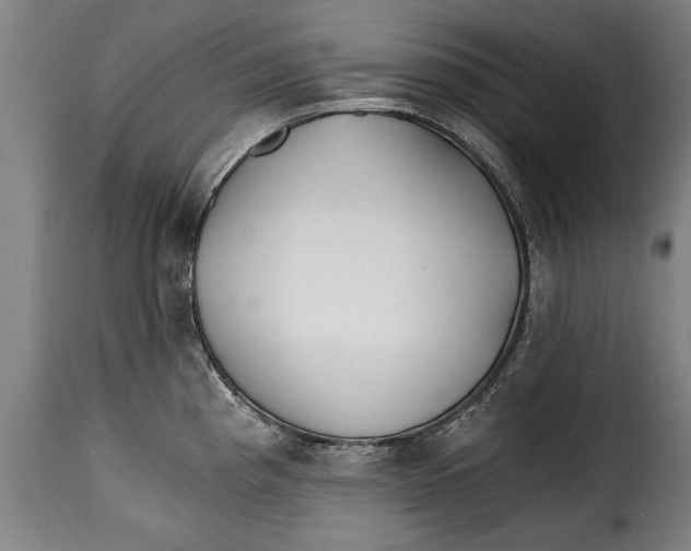 X0000115241193200911201613
