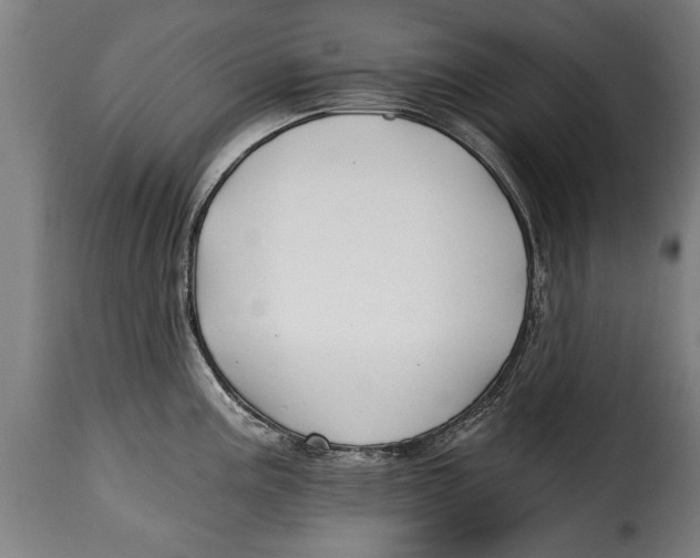 X0000115241195200911201613