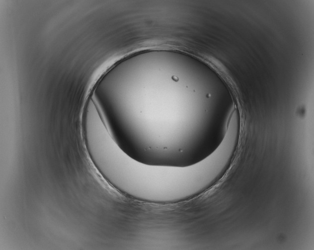X0000115241196200911201613