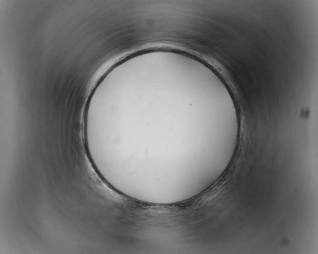 X0000115241199200911201613