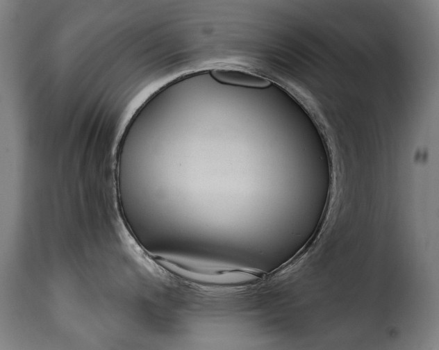 X0000115241200200911201613