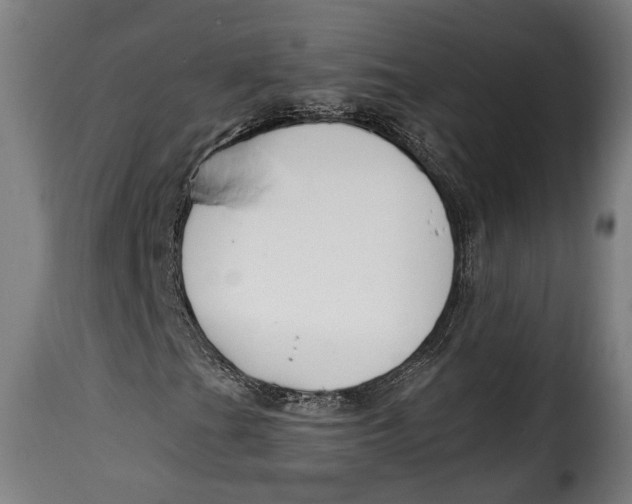 X0000115241201200911201612