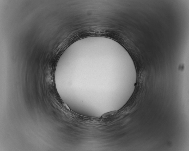 X0000115241202200911201612