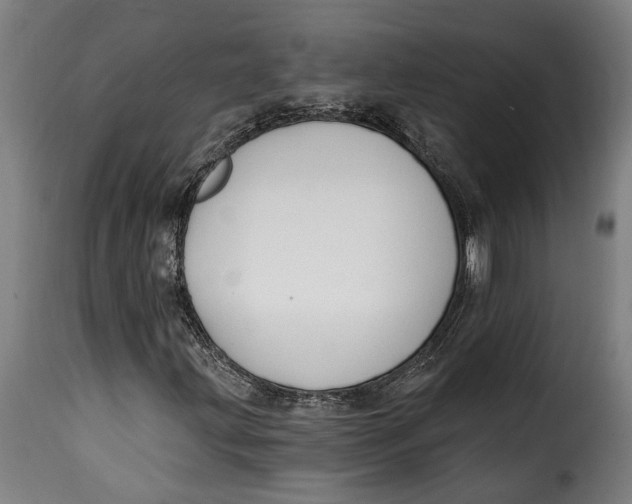 X0000115241203200911201612