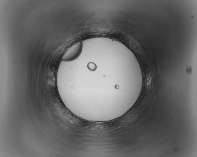 X0000115241204200911201612