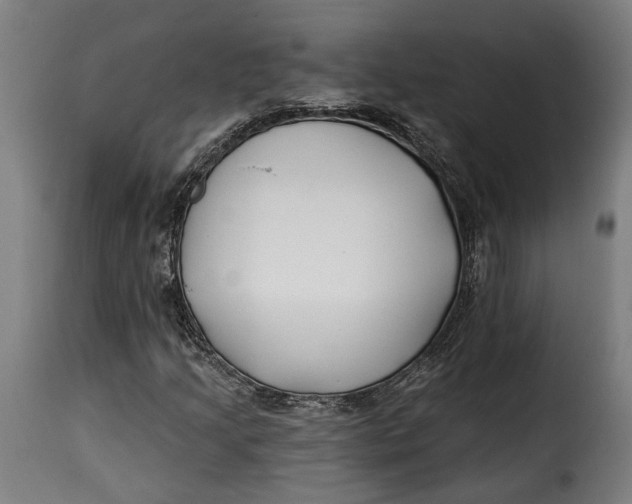 X0000115241205200911201612
