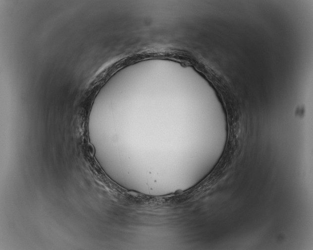 X0000115241206200911201612