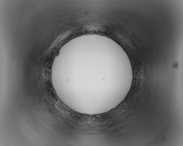 X0000115241207200911201612