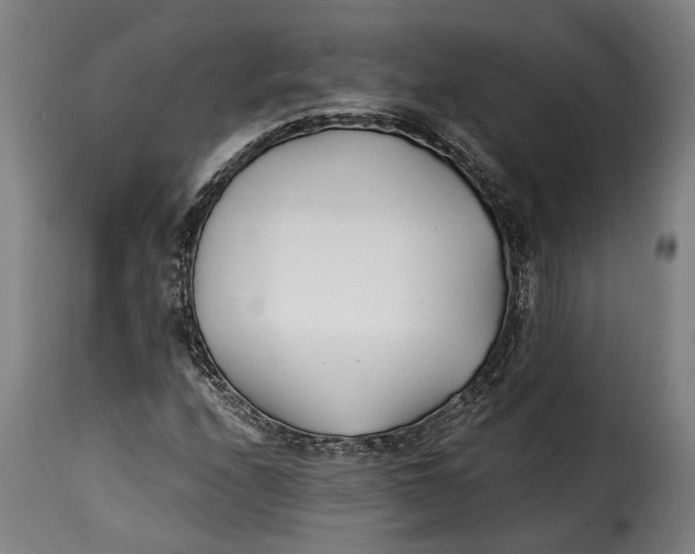 X0000115241208200911201613