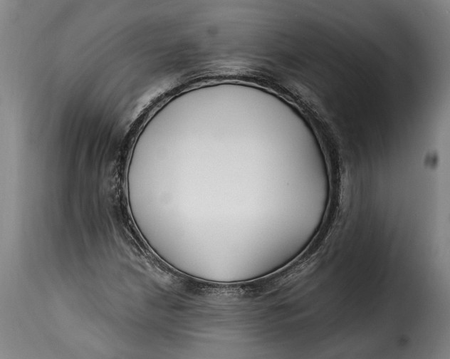 X0000115241210200911201613