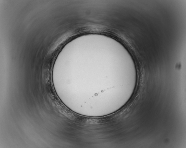 X0000115241211200911201613