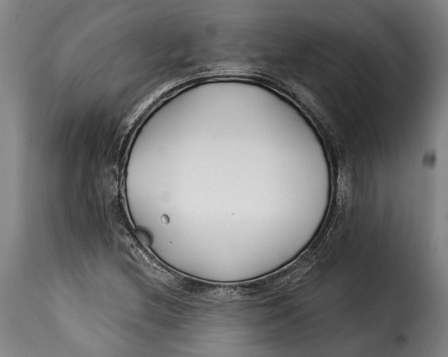 X0000115241212200911201613