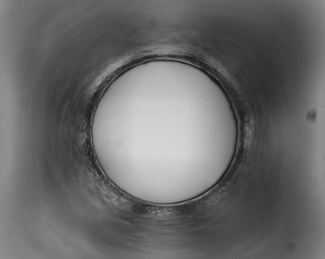 X0000115241213200911201613