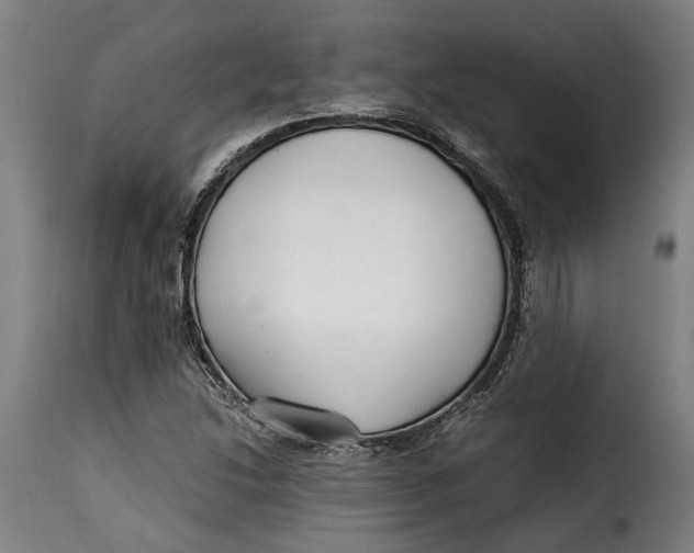X0000115241214200911201613