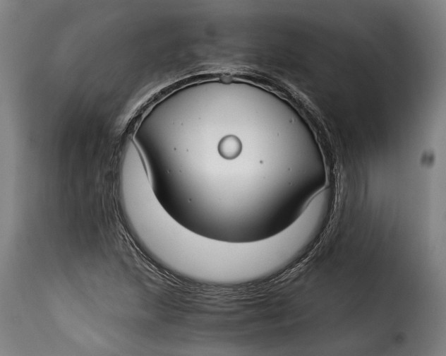 X0000115241215200911201613