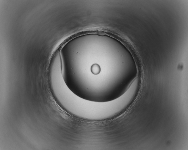 X0000115241216200911201613
