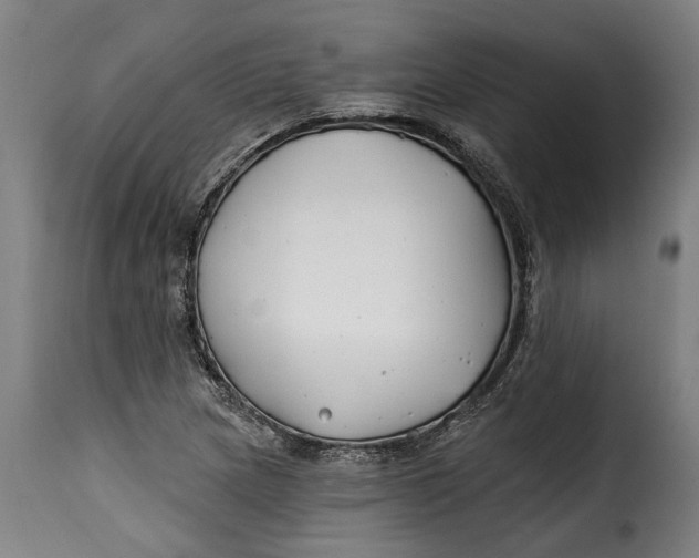 X0000115241217200911201613