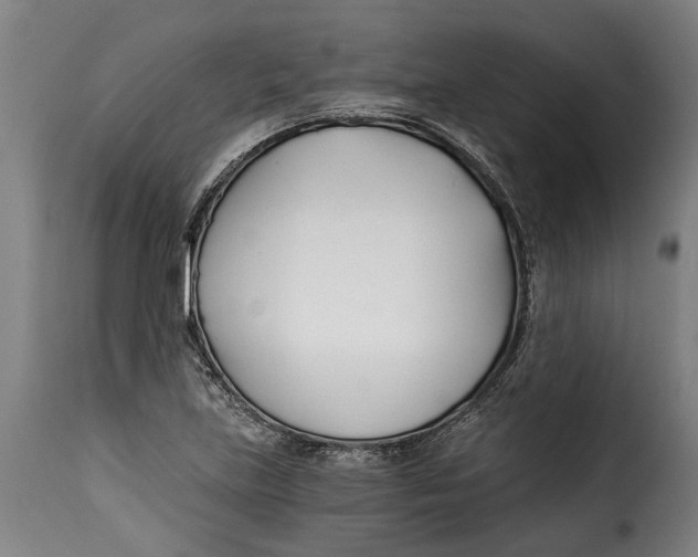 X0000115241219200911201613