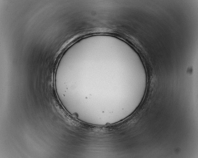 X0000115241220200911201613
