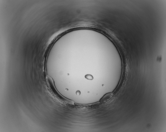 X0000115241222200911201613