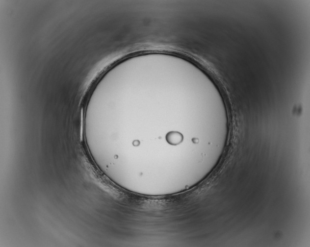 X0000115241223200911201613