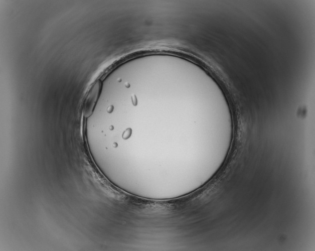 X0000115241224200911201613