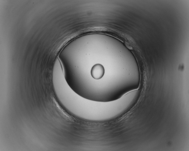 X0000115241225200911201613