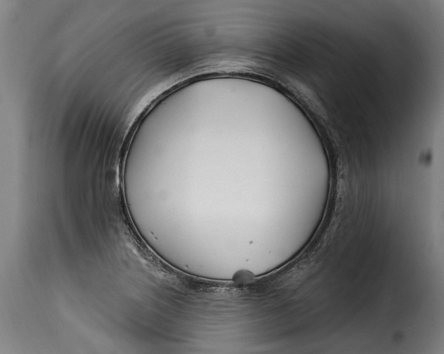 X0000115241226200911201613
