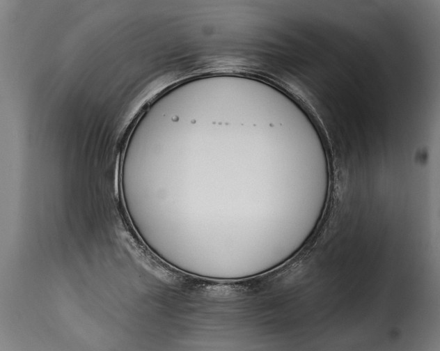 X0000115241227200911201613
