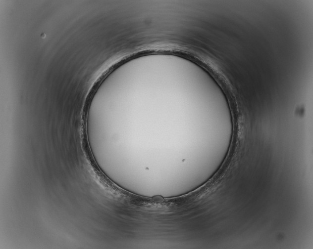 X0000115241229200911201613