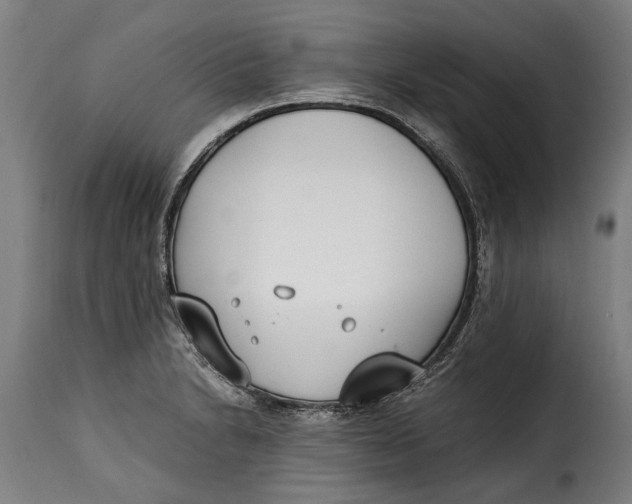 X0000115241230200911201613