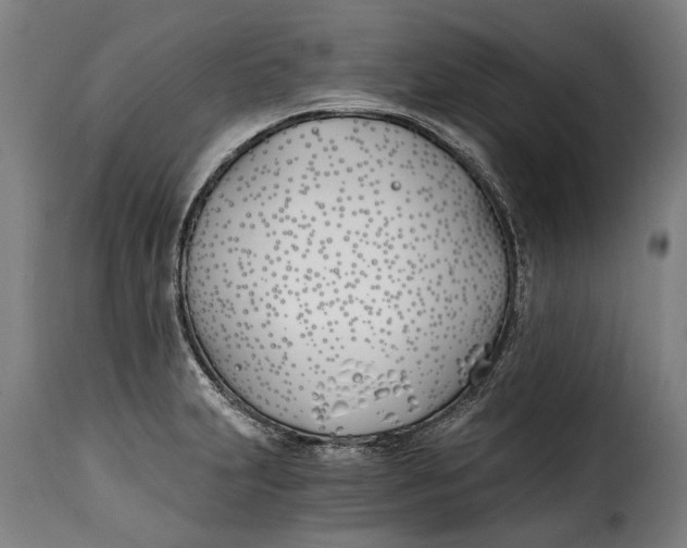 X0000115241231200911201613