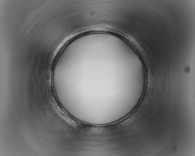 X0000115241232200911201613